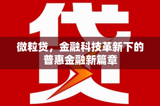 海淀微粒贷，金融科技革新下的普惠金融新篇章