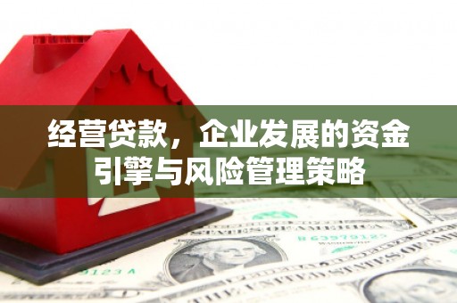 普湾新区经营贷款，企业发展的资金引擎与风险管理策略