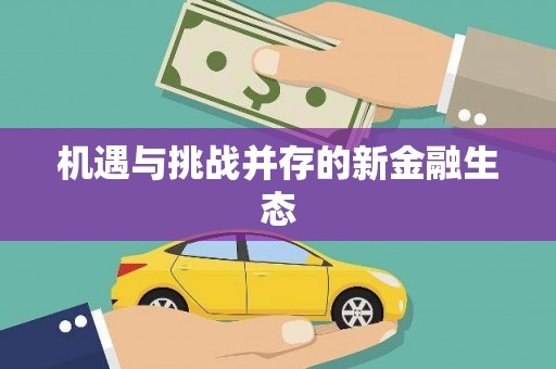 喜德机遇与挑战并存的新金融生态