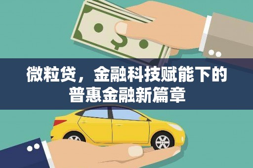 雷州微粒贷，金融科技赋能下的普惠金融新篇章