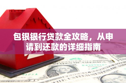 蔡甸包银银行贷款全攻略，从申请到还款的详细指南