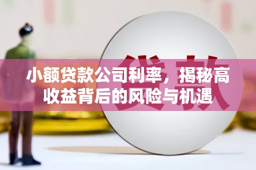 雨花小额贷款公司利率，揭秘高收益背后的风险与机遇