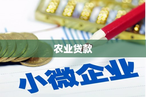 韶关农业贷款