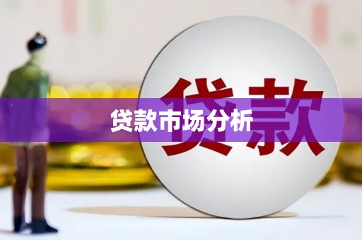 雷州贷款市场分析