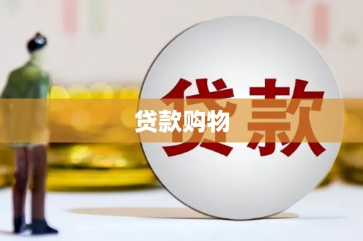 丹凤贷款购物