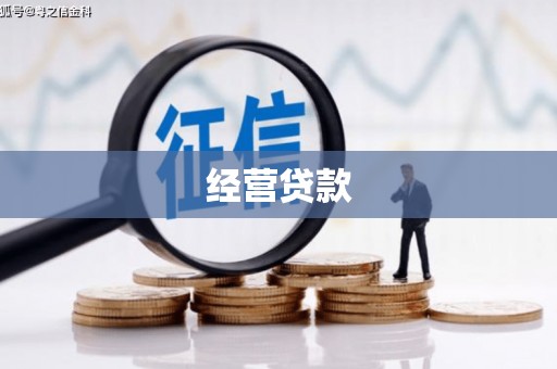 嘉禾经营贷款