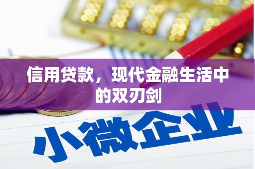 凤泉信用贷款，现代金融生活中的双刃剑