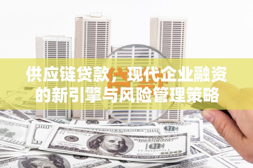芦淞供应链贷款，现代企业融资的新引擎与风险管理策略