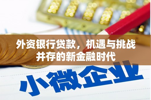 原州外资银行贷款，机遇与挑战并存的新金融时代