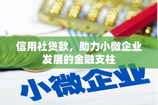 平舆信用社贷款，助力小微企业发展的金融支柱