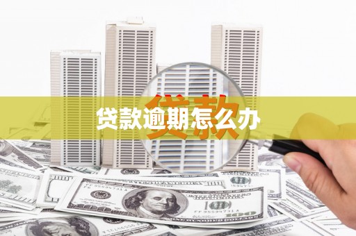 新都贷款逾期怎么办
