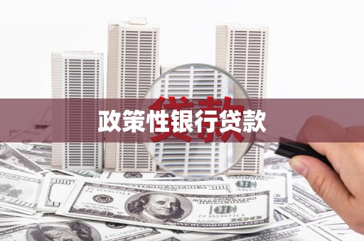 咸宁政策性银行贷款