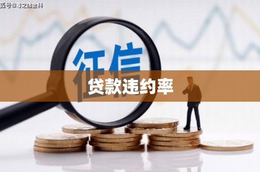 额济纳旗贷款违约率