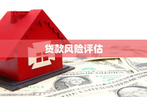 仙游贷款风险评估