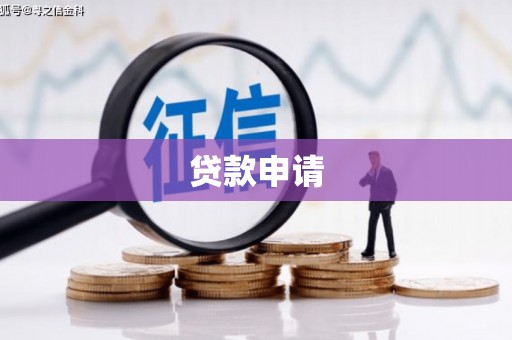 呼玛贷款申请