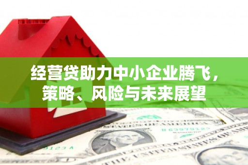江源经营贷助力中小企业腾飞，策略、风险与未来展望
