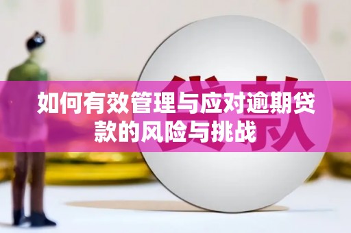 青神如何有效管理与应对逾期贷款的风险与挑战