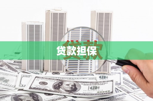 炉霍贷款担保