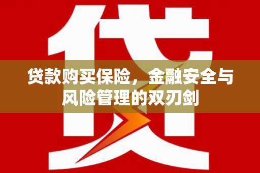 宣汉贷款购买保险，金融安全与风险管理的双刃剑