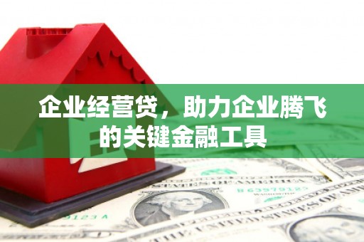 东安企业经营贷，助力企业腾飞的关键金融工具