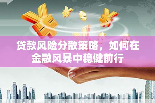 紫金贷款风险分散策略，如何在金融风暴中稳健前行