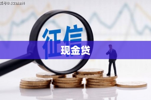 丹巴现金贷