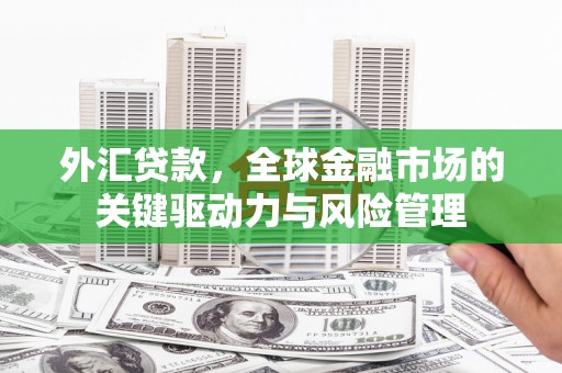 汉阳外汇贷款，全球金融市场的关键驱动力与风险管理