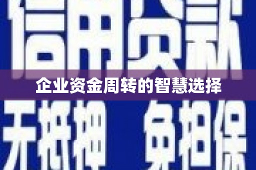 浦东企业资金周转的智慧选择