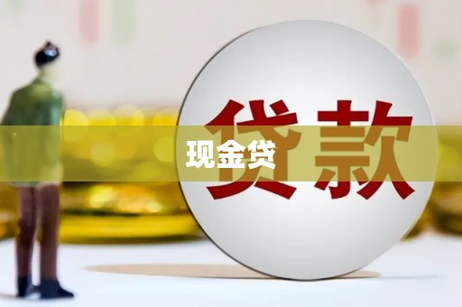 紫阳现金贷