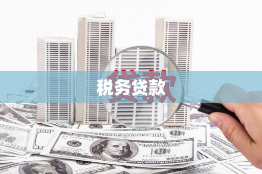 米脂税务贷款