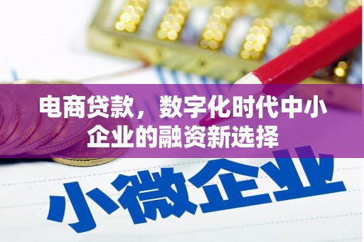 滁州电商贷款，数字化时代中小企业的融资新选择