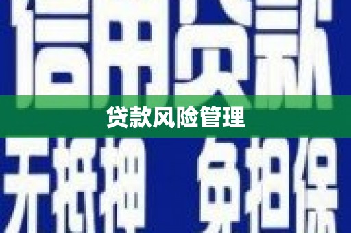 贾汪贷款风险管理