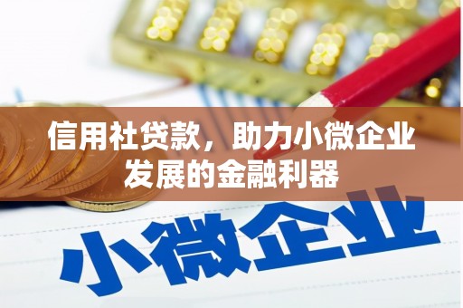 腾冲信用社贷款，助力小微企业发展的金融利器