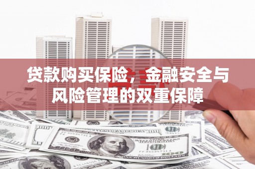 岷县贷款购买保险，金融安全与风险管理的双重保障