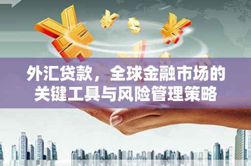 里港外汇贷款，全球金融市场的关键工具与风险管理策略