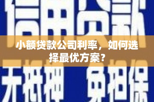 普格小额贷款公司利率，如何选择最优方案？