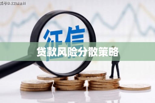 共和贷款风险分散策略
