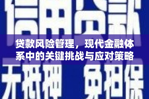宜城贷款风险管理，现代金融体系中的关键挑战与应对策略