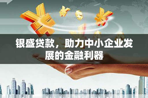 天等银盛贷款，助力中小企业发展的金融利器