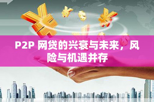 大林P2P 网贷的兴衰与未来，风险与机遇并存