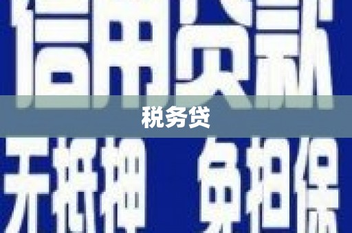 龙城税务贷