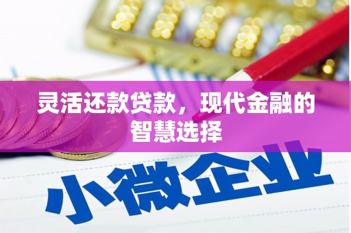 阳谷灵活还款贷款，现代金融的智慧选择