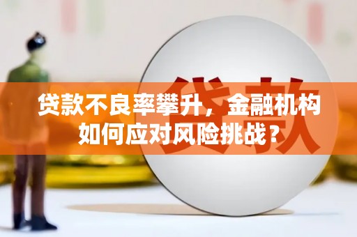八宿贷款不良率攀升，金融机构如何应对风险挑战？