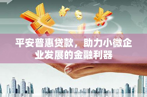 丰县平安普惠贷款，助力小微企业发展的金融利器
