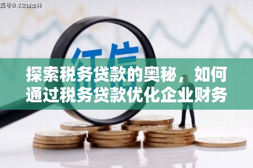 岱山探索税务贷款的奥秘，如何通过税务贷款优化企业财务
