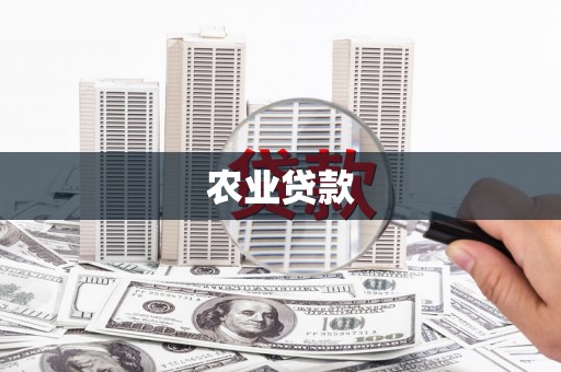 沙田农业贷款