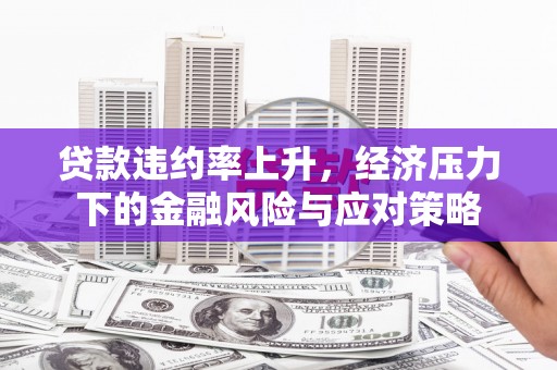 衡阳贷款违约率上升，经济压力下的金融风险与应对策略