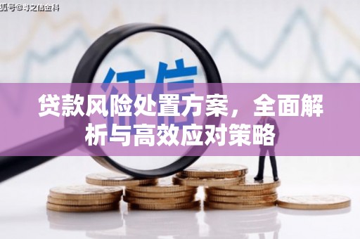 水里贷款风险处置方案，全面解析与高效应对策略