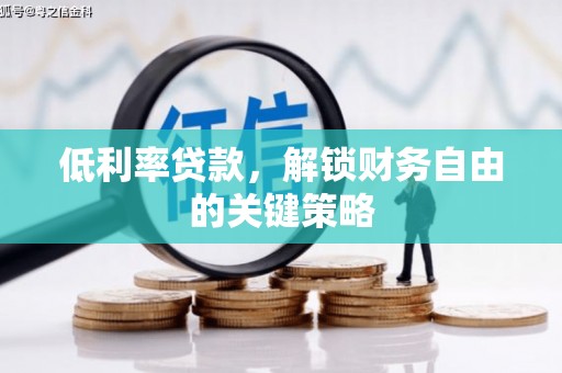 泸水低利率贷款，解锁财务自由的关键策略