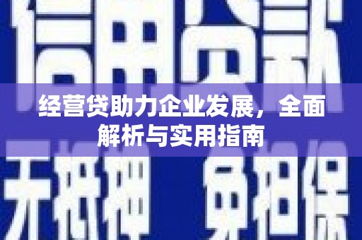 漳平经营贷助力企业发展，全面解析与实用指南